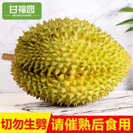 甘福园 泰国进口金枕头榴莲新鲜带壳水果当季特产巴掌榴莲整箱3-6斤包邮 甘福园 泰国进口金枕头榴莲新鲜带壳水果当季特产巴掌榴莲整箱3-6斤包邮